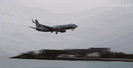恐怖视频！加拿大飞机险些坠海 冲向海滩 女子被喷飞甩出撞死（视频/组图） - 3