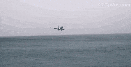 恐怖视频！加拿大飞机险些坠海 冲向海滩 女子被喷飞甩出撞死（视频/组图） - 4
