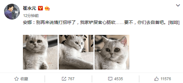 崔永元再借猫咪之口发文，已有明星上门求饶，网友：挺住！（组图） - 4