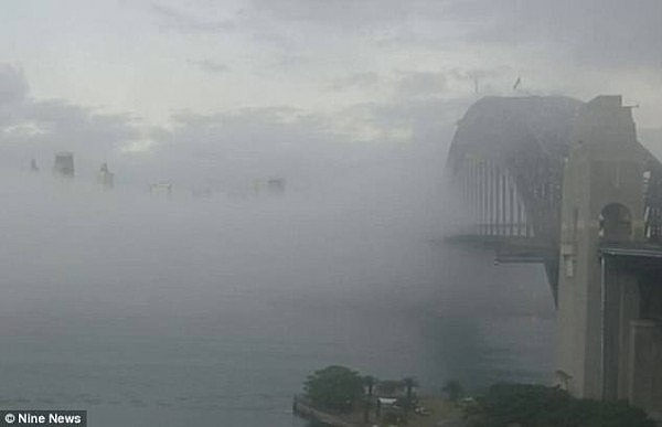 悉尼再遭浓雾锁城！大量航班及渡轮延误 M4M7出现拥堵（组图/视频） - 1