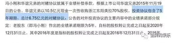 冯小刚不担心崔永元的爆料，完成不了对赌协议才是最致命的（组图） - 7