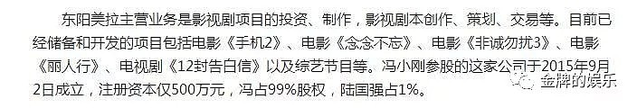 冯小刚不担心崔永元的爆料，完成不了对赌协议才是最致命的（组图） - 8