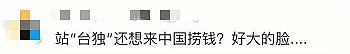 “赚着中国人的钱，砸着中国人的锅”？！这样的事，中国人不会再容忍（组图） - 8