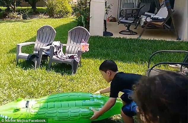 美男孩后院玩充气鳄鱼玩具 不知身旁藏有真鳄鱼（组图） - 2
