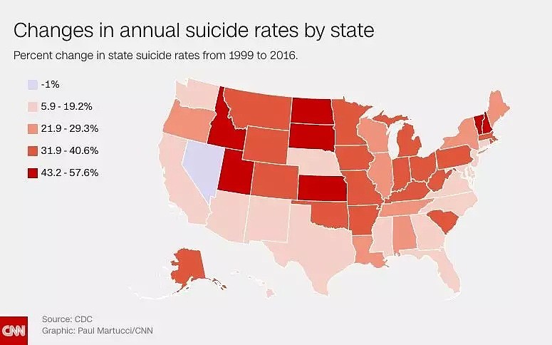 美国自杀率自20年来增长超过25%，谁是幕后黑手？（组图） - 6