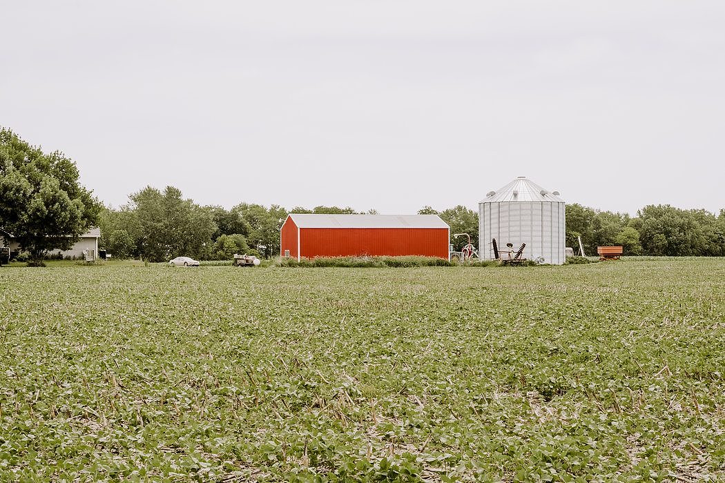 对农民来说，除了天气，几乎没有比对美国农产品征收报复性关税更严重的问题了。