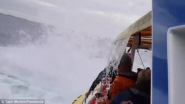 The boatload of stunned visitors were soaked as the whale comes crashing back to the ocean with a massive splash