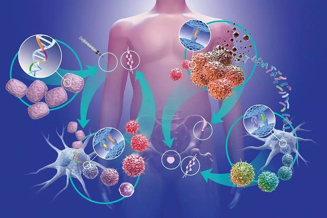 NOX抗癌研究获阶段性进展 化疗增强疗法被证实有效 - 1