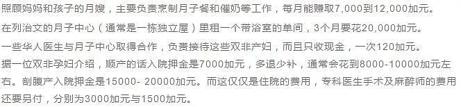 华人孕妇赴加生完孩子就跑，负债580万！然而孩子根本不算入籍（组图） - 2