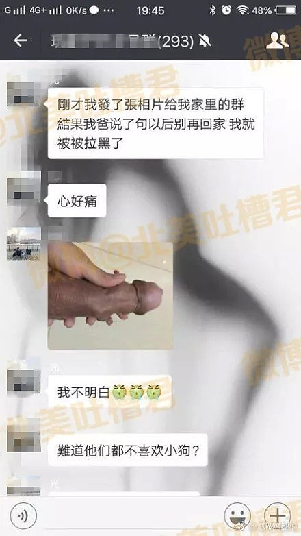 嘴角上扬，笑到抽搐！你们实在太可恶了哈哈哈.... - 17