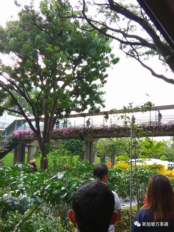 新加坡一女子爬上天桥顶闹自杀，直击惊悚现场！(视频/组图） - 5