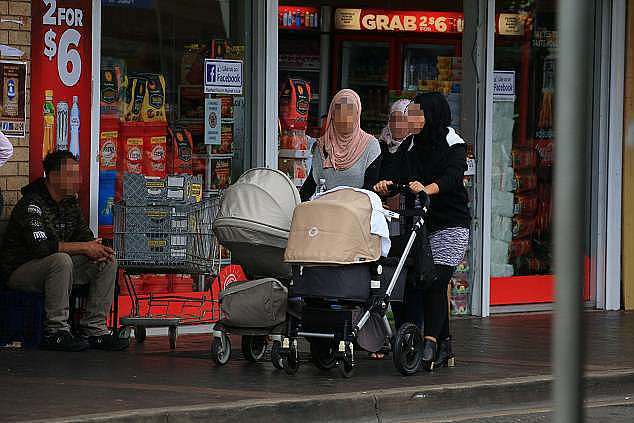 Two-thirds of the 266,000 arrivals in Sydney's west in the five years leading to 2016 were not born in Australia and did not have Anglo heritage (stock photo) 