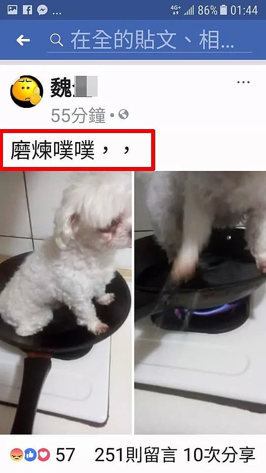 变态！中国男子将狗狗放平底锅煎煮，却说“磨练它”！网友众怒：“抓出来打！”（组图） - 6