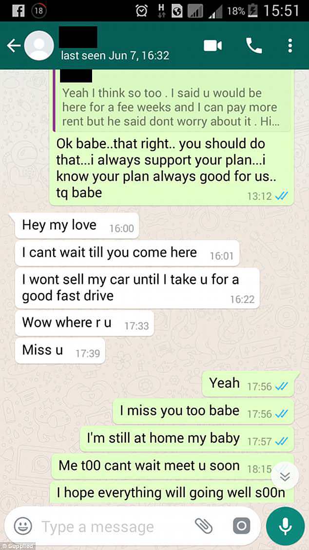 'My baby... cant wait to meet u soon': Mr Hill said he could not wait to meet his Malaysian lover (her messages in green) 