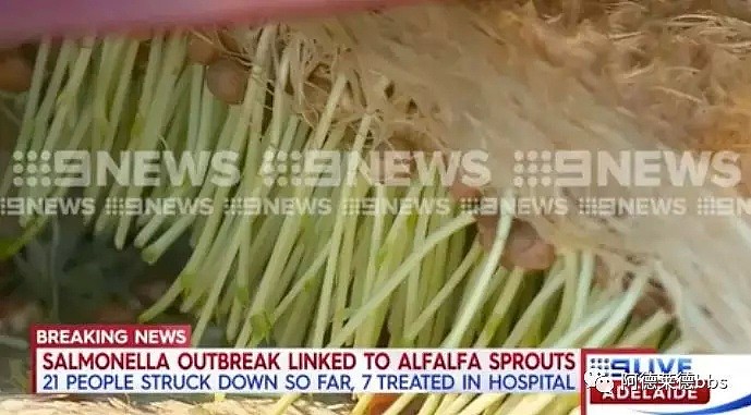 紧急召回！已有21人进医院！澳洲这种蔬菜遭污染！华人超爱吃！买了的注意（组图） - 10