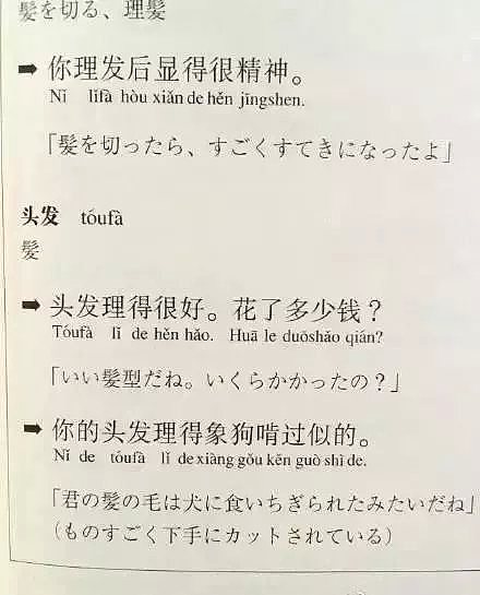 去国外留学，打开课本那一刻我哭了……哈哈哈哈哈哈哈哈哈哈（组图） - 33