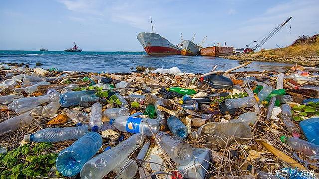 中国洋垃圾禁令影响显著，全球1.1亿吨塑料废物将“无家可归”