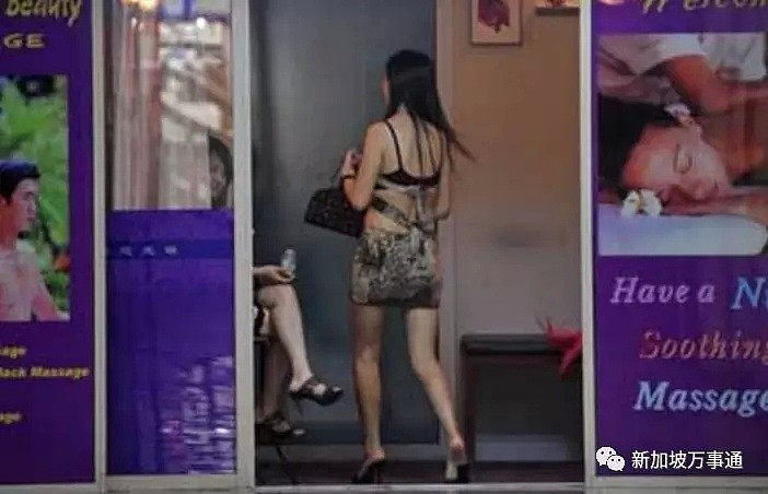 坡岛老鸨用微信招中国女卖淫，拍宣传照、包吃包住、接客......一条龙！（组图） - 1