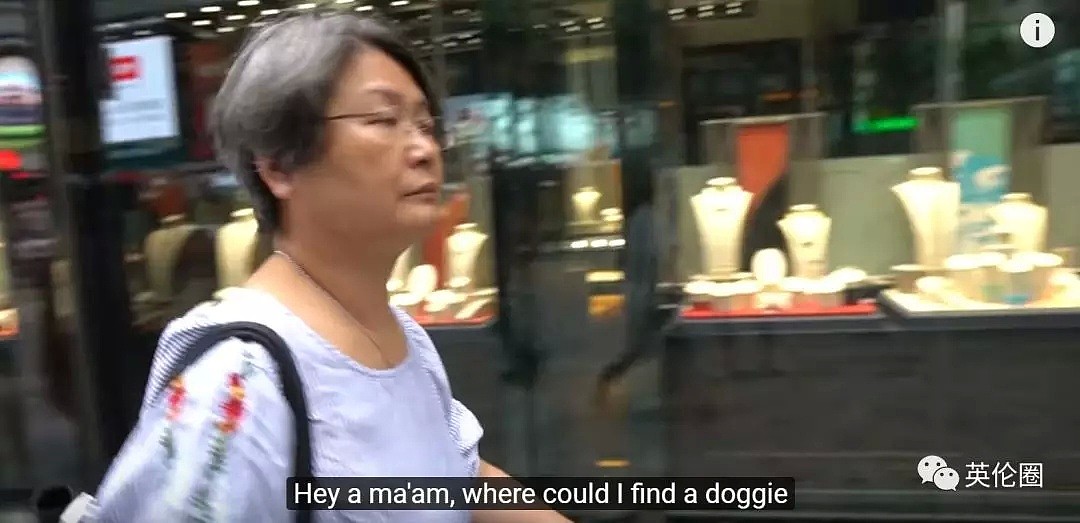 亚裔网红辱华视频被踩4万次！在香港满街找“婊子”，外国人都看不下去！（视频/组图） - 17