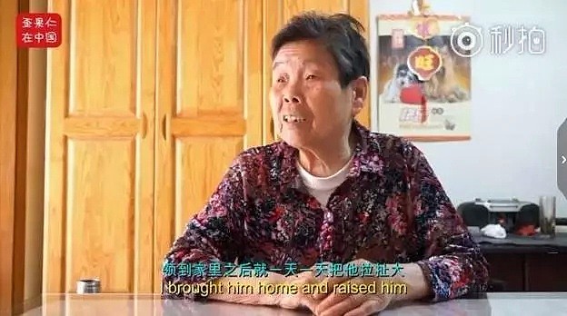 看哭！中国阿婆收养“外国小黑孩”18年 如今他一开口就震惊四座（视频/组图） - 8