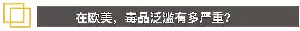 坐着轮椅回国 那些被毒品毁掉的留学生...（组图） - 9