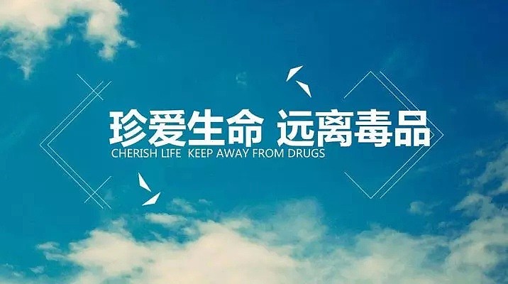 坐着轮椅回国 那些被毒品毁掉的留学生...（组图） - 25