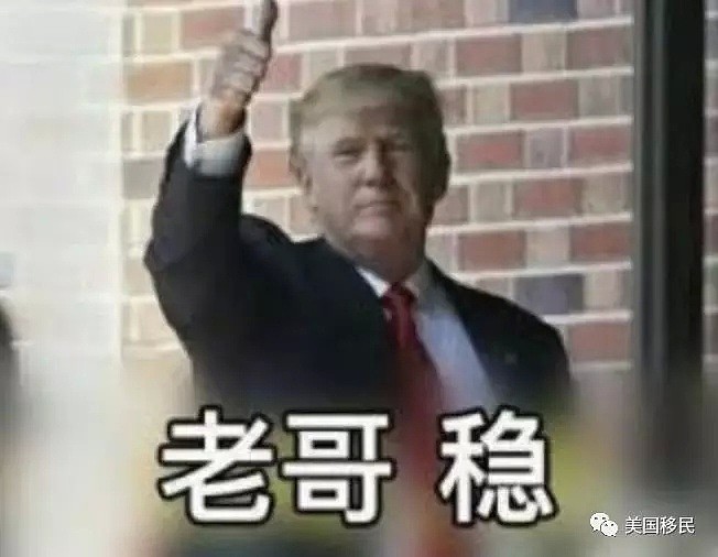 他当总统或对华人最有利！川普白宫日子到头了？（组图） - 10