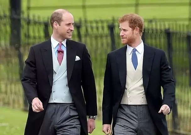 为什么放眼整个英王室，只有哈里王子的头发是红色的？ - 3