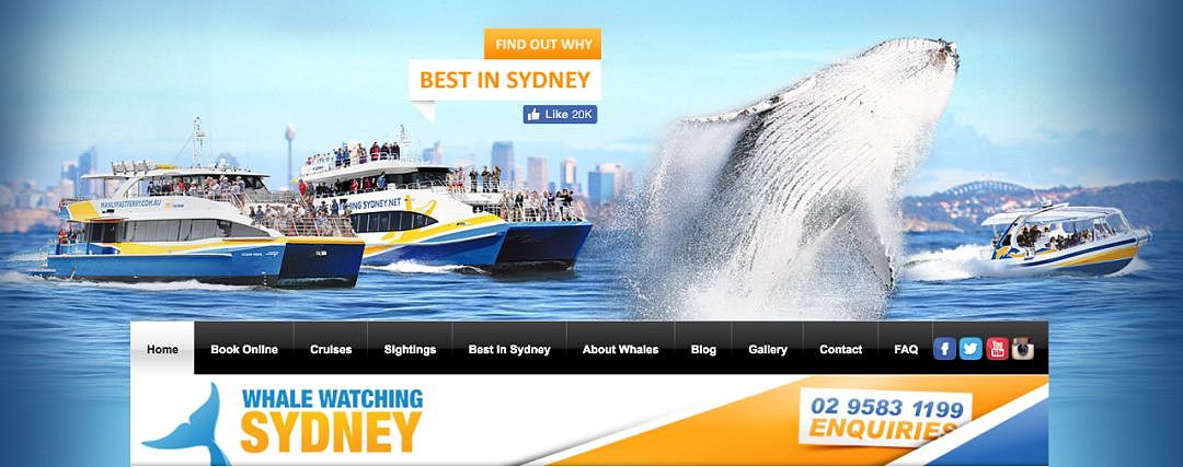 翻江倒海！3万座头鲸占领悉尼港！整个港口沸腾了！气势磅礴场面壮观！（视频/组图） - 21