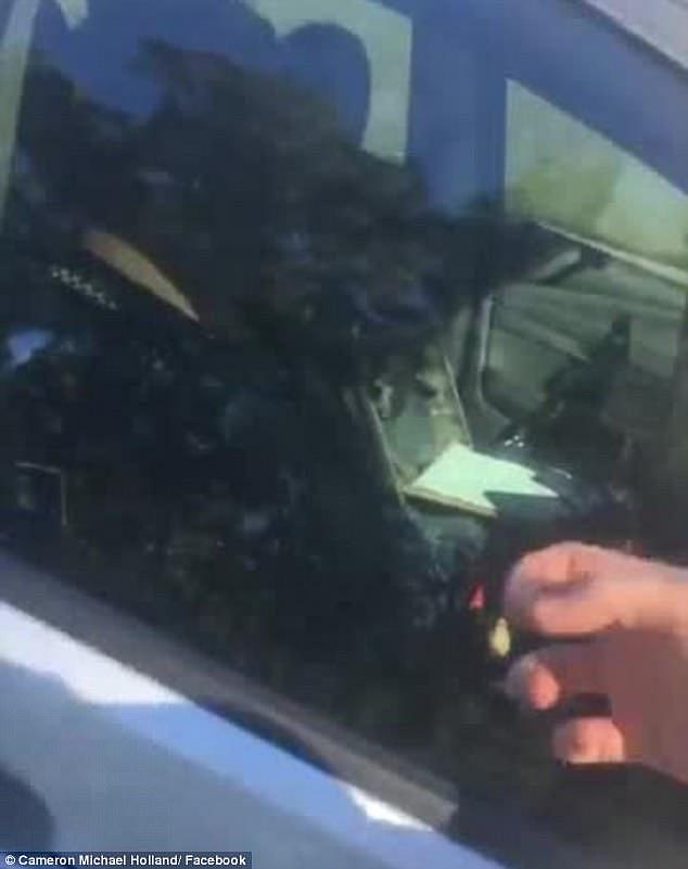 A baffled passerby filmed the incident concerned the policeman may have 'had a heart attack' during his shift so tapped on the unmarked police car window to wake him up (pictured)