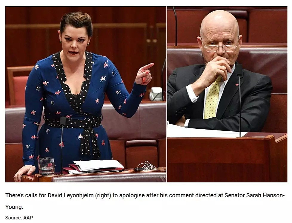澳洲政坛一片哗然！总理被骂！国会女议员被侮辱！男议员前科累累！真是可笑... - 22