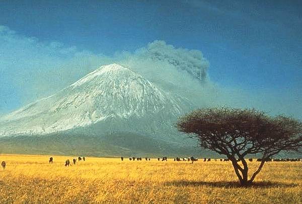 男子掉入滚烫火山岩浆！随后发生的事不可思议（组图） - 2