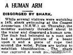 惊悚！悉尼水族馆虎鲨突然吐出半截手臂！所有人尖叫逃窜，然而真相更可怕...（组图） - 13