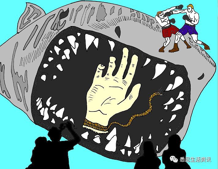 惊悚！悉尼水族馆虎鲨突然吐出半截手臂！所有人尖叫逃窜，然而真相更可怕...（组图） - 17