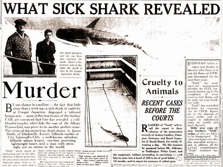 惊悚！悉尼水族馆虎鲨突然吐出半截手臂！所有人尖叫逃窜，然而真相更可怕...（组图） - 25