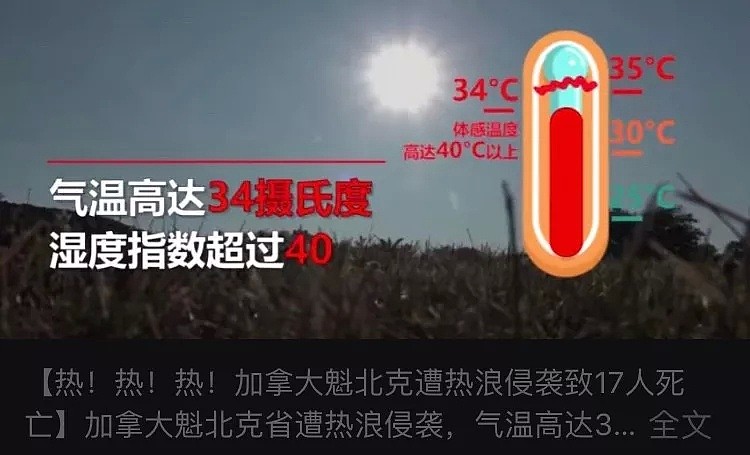 加拿大34度“高温”热死了几十人，中国人惊了（组图) - 9