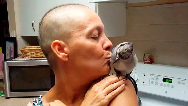 世上最暖报恩！3年前她救了一只鸟，患癌后鸟儿竟救活姑娘（组图） - 24