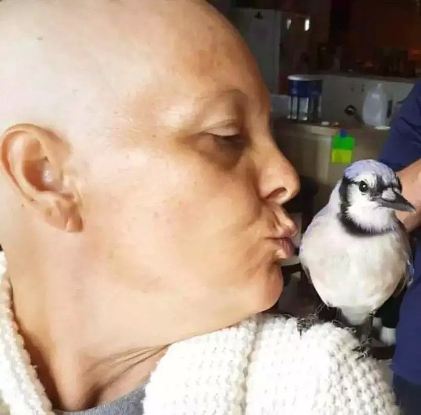 世上最暖报恩！3年前她救了一只鸟，患癌后鸟儿竟救活姑娘（组图） - 31