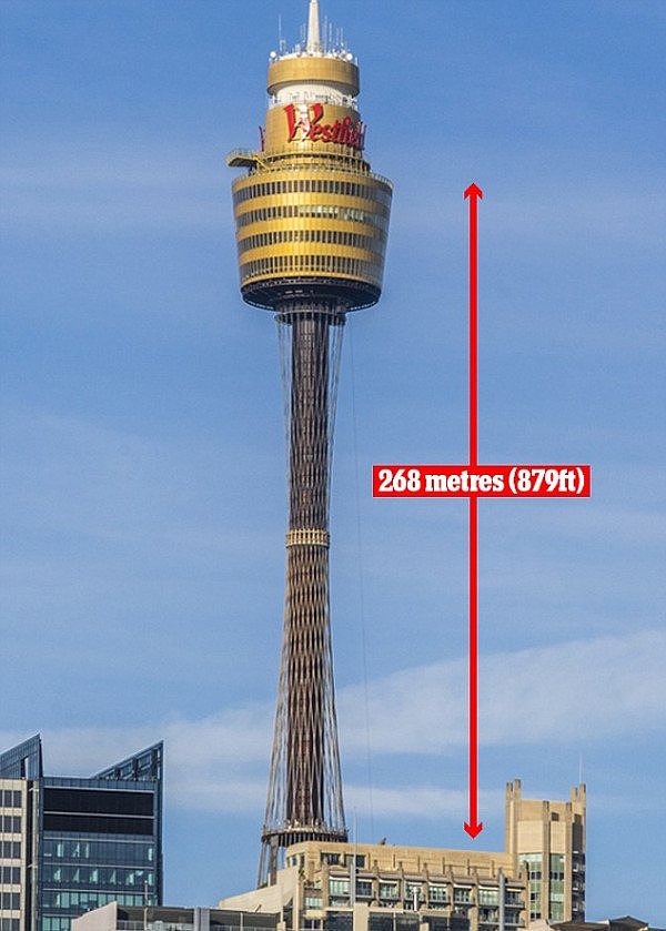 4E09452A00000578-5936665-Sydney_Tower_Eye_said_they_conducted_a_comprehensive_safety_revi-a-16_1531200018087.jpg,0