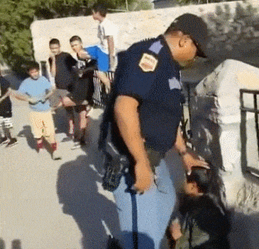 美国警察拔枪指向儿童，吓得众人纷纷后退，但这次网民却支持警察（组图/视频） - 4