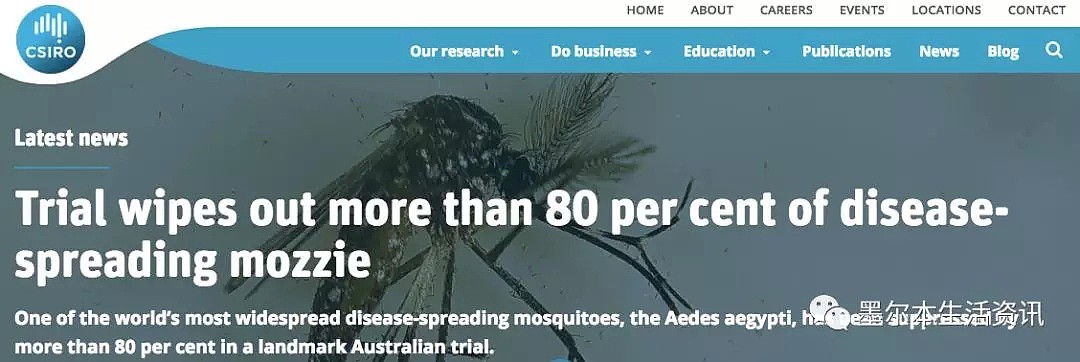 300万只！澳洲大规模放生蚊子！疯狂肆虐居民区！但这次蚊子慌了…（组图） - 11