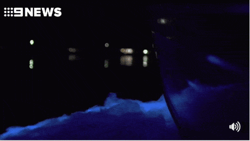 美到窒息！澳各地惊现蓝色荧光海，一到夜晚，就有神奇的事情发生！（视频/组图） - 8
