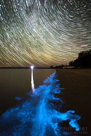 美到窒息！澳各地惊现蓝色荧光海，一到夜晚，就有神奇的事情发生！（视频/组图） - 12