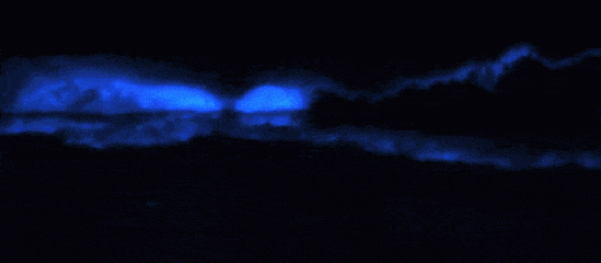 美到窒息！澳各地惊现蓝色荧光海，一到夜晚，就有神奇的事情发生！（视频/组图） - 16