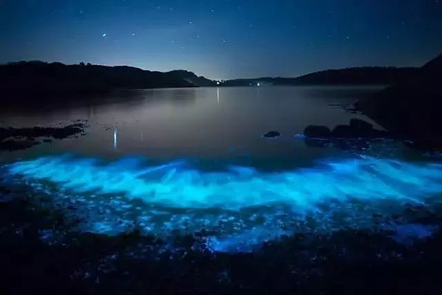 美到窒息！澳各地惊现蓝色荧光海，一到夜晚，就有神奇的事情发生！（视频/组图） - 19