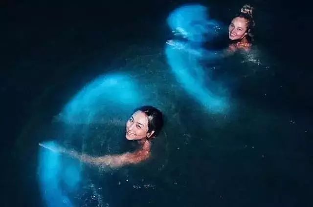 美到窒息！澳各地惊现蓝色荧光海，一到夜晚，就有神奇的事情发生！（视频/组图） - 20