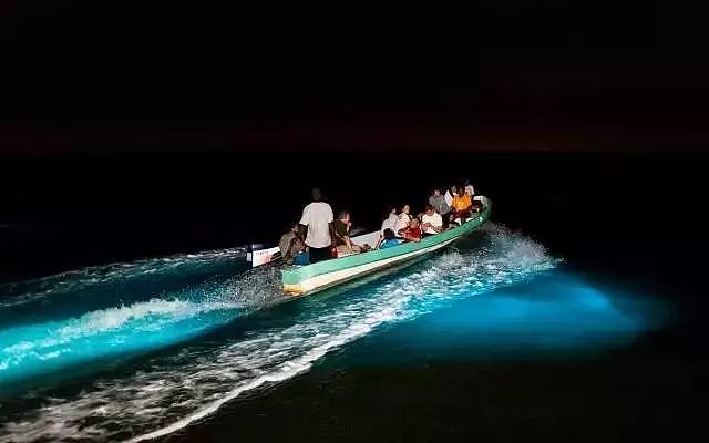 美到窒息！澳各地惊现蓝色荧光海，一到夜晚，就有神奇的事情发生！（视频/组图） - 22