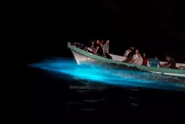 美到窒息！澳各地惊现蓝色荧光海，一到夜晚，就有神奇的事情发生！（视频/组图） - 23