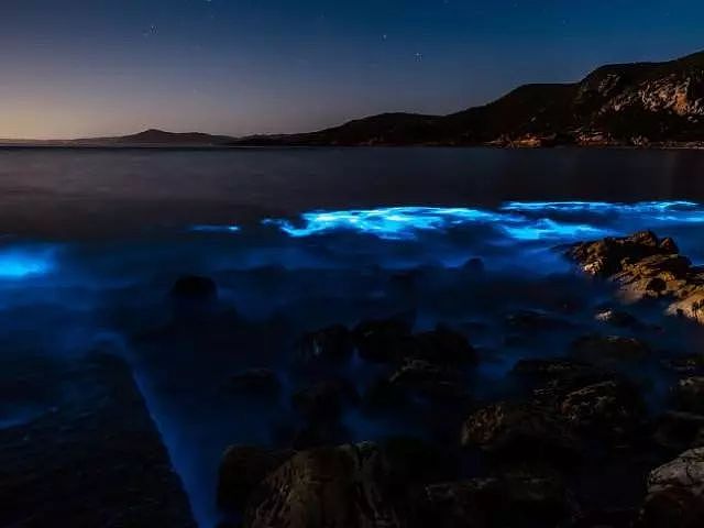 美到窒息！澳各地惊现蓝色荧光海，一到夜晚，就有神奇的事情发生！（视频/组图） - 25
