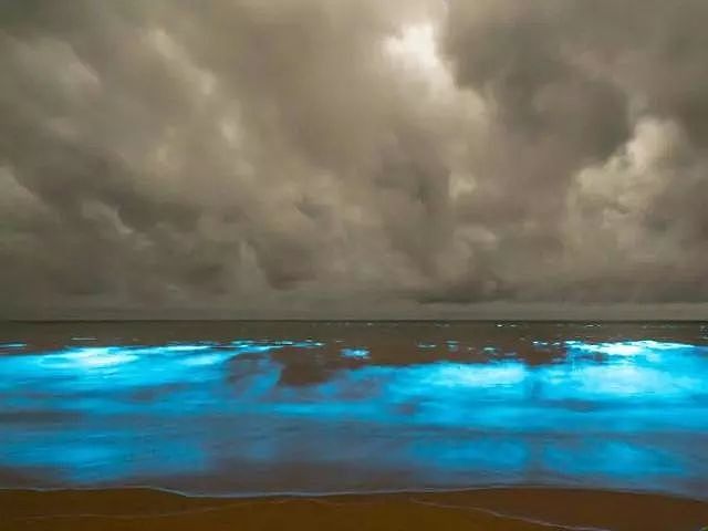 美到窒息！澳各地惊现蓝色荧光海，一到夜晚，就有神奇的事情发生！（视频/组图） - 26